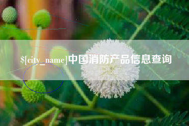 武安中国消防产品信息查询