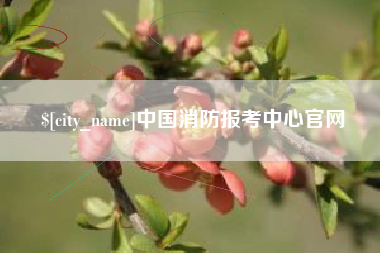 武安中国消防报考中心官网
