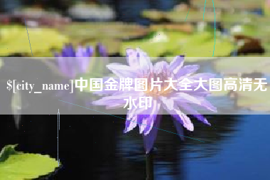 武安中国金牌图片大全大图高清无水印
