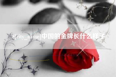 武安中国的金牌长什么样子