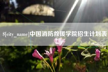 武安中国消防救援学院招生计划表
