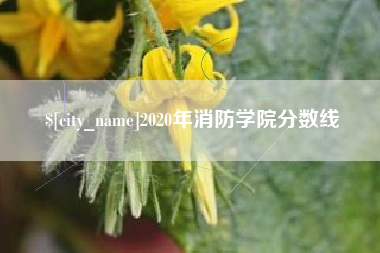 武安2020年消防学院分数线
