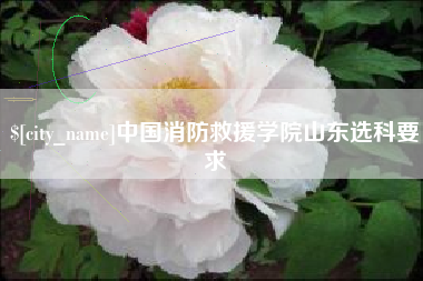 武安中国消防救援学院山东选科要求