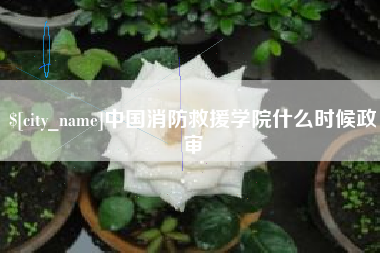 武安中国消防救援学院什么时候政审