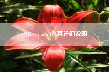 武安九宫详细说明