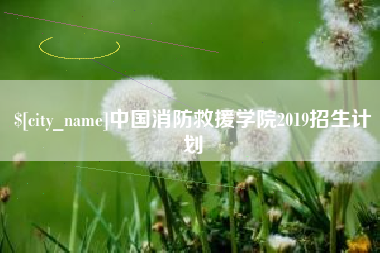 武安中国消防救援学院2019招生计划