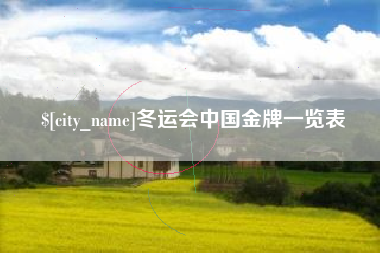 武安冬运会中国金牌一览表