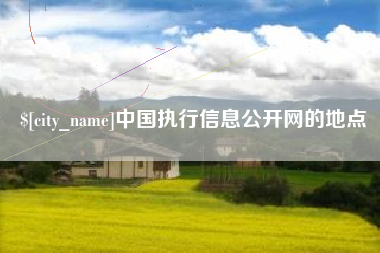 武安中国执行信息公开网的地点