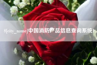 武安中国消防产品信息查询系统1