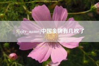武安中国金牌有几枚了
