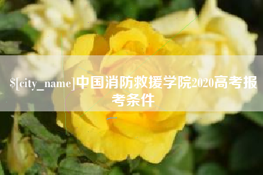 武安中国消防救援学院2020高考报考条件