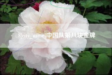 武安中国队第八块金牌