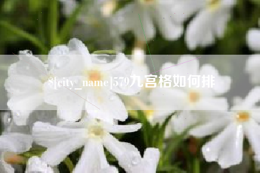 武安579九宫格如何排