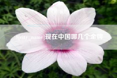 武安现在中国哪几个金牌