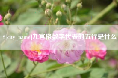 武安九宫格数字代表的五行是什么