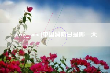 武安中国消防日是哪一天