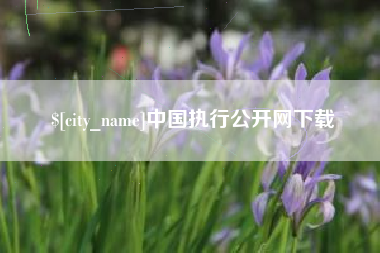 武安中国执行公开网下载