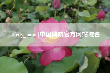 武安中国消防官方网站域名