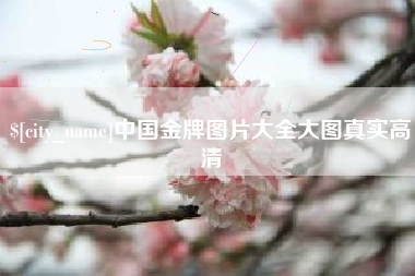 武安中国金牌图片大全大图真实高清