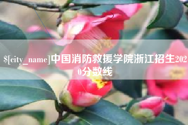 武安中国消防救援学院浙江招生2020分数线