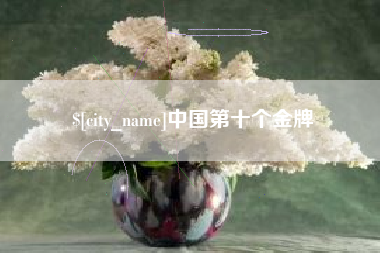 武安中国第十个金牌
