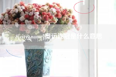 武安奥运连冠是什么意思