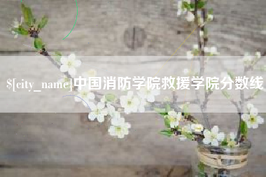 武安中国消防学院救援学院分数线