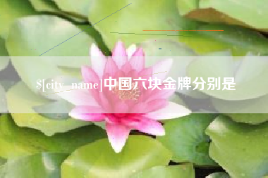 武安中国六块金牌分别是