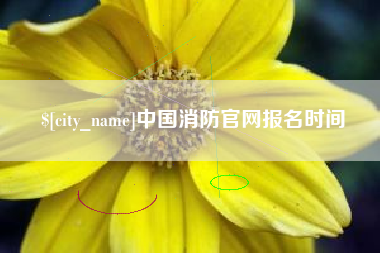 武安中国消防官网报名时间