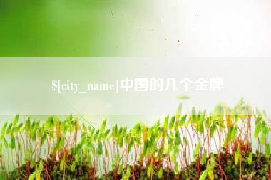 武安中国的几个金牌