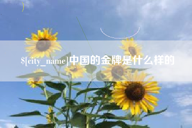 武安中国的金牌是什么样的
