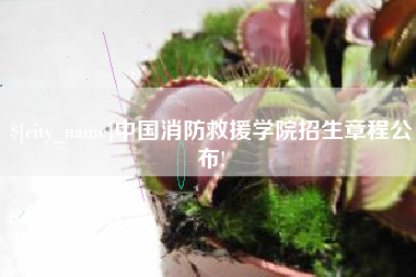 武安中国消防救援学院招生章程公布!
