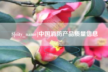 武安中国消防产品质量信息