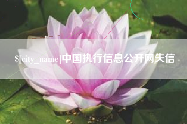 武安中国执行信息公开网失信
