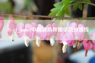 武安中国消防救援学院分数线