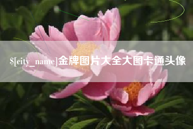 武安金牌图片大全大图卡通头像