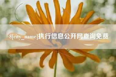 武安执行信息公开网查询免费