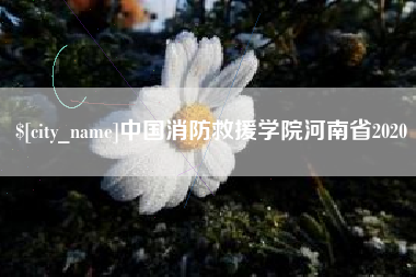 武安中国消防救援学院河南省2020